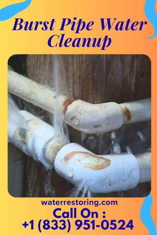 Burst Pipe Water Cleanup in Stockton, MN