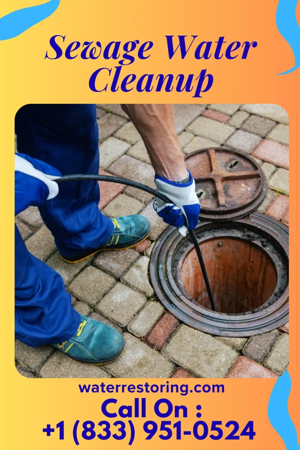 Sewage Water Cleanup in Stockton, MN